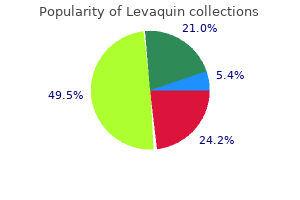 cheap levaquin 250 mg